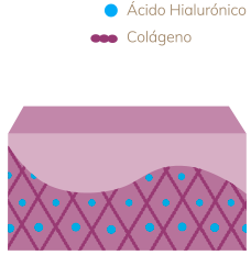 Ácido hialurónico - Liposomial